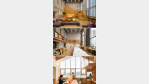 때로는 혼자, 때로는 같이… ‘1.5가구’ 시대 온다