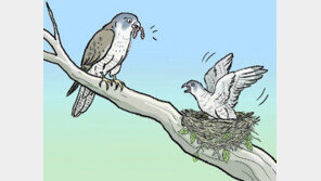 속 깊은 부모새와 이상한 부모새[서광원의 자연과 삶]〈118〉