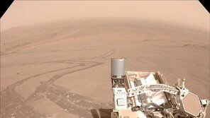 “화성에서 좌회전입니다”…AI가 짠 경로로 화성 자율주행 성공