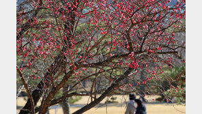 ‘입춘’ 추위 가고 평년 기온 회복…낮엔 영상권 올라 포근