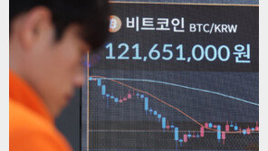 “코인 급락에도 꾸준히 모으자”…거래소 ‘적립식 투자’ 인기