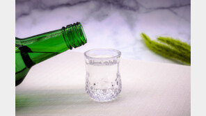 “도파민 시스템 변이…임신 중 음주, 자녀 알코올 의존 위험”