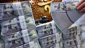외환보유액 2개월 연속 줄어…21억5000만 달러 감소