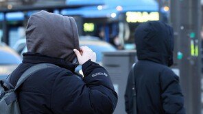 지난달 왜 추웠나…기후변화에 북극 소용돌이 약해지며 찬공기 남하