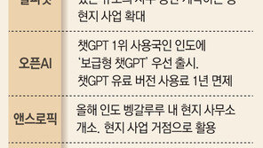 美 비자 문턱 높아지자… 알파벳-오픈AI 등 인재 찾아 인도로