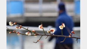 낮 최고 ‘15도’ 포근한 날씨…전국 곳곳 미세먼지 ‘나쁨’