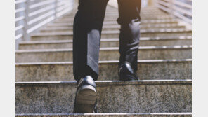 운동의 개념이 바뀌었다…‘계단 오르기’가 최고인 이유[노화설계]