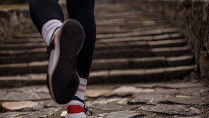 운동의 개념이 바뀌었다…‘계단 오르기’가 최고인 이유[노화설계]