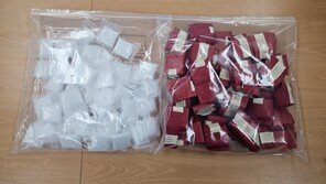 제주 4만명분 필로폰 밀반입 30대 중국인 징역 7년