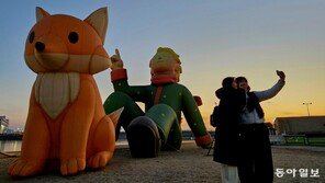 거북섬에 온 어린 왕자