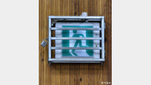 [고양이 눈]출구를 향해