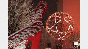 “金 3개 이상, 톱10 목표”…피땀눈물로 쓴 71편의 드라마 펼쳐진다