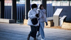 한랭질환 사망자 지난 겨울의 2.4배…입춘 뒤 한파 주의