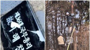 ‘표지석 훼손’ 일베 합성사진 때문에…故이해찬 묘역 CCTV 설치