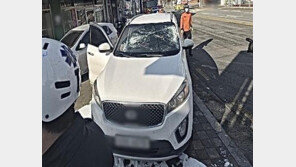 ‘방현망 사망 사고’ 화물차 운전기사 “현장 떠난 뒤 알았다”