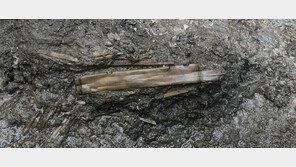 1400년 전 ‘백제 피리’ 소리가 깨어난다