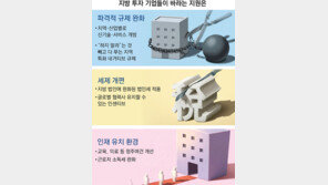 “창조경제센터 답습 안하려면, AI 등 지역별 ‘규제 프리존’ 설치를”