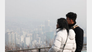 서울 전역에 발령됐던 ‘초미세먼지 주의보’ 해제