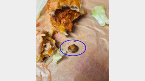 “햄버거서 나온 금속 볼트에 앞니 깨져…일주일 뒤 본사 답변 ‘원인불상’”