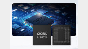 델·휴렛패커드, 삼성·하이닉스 메모리 동나자 ‘중국산’ 검토중