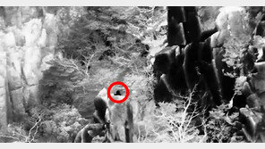 한 치 앞도 안 보이는 한밤 암벽 틈, 길 잃은 등산객 찾아낸 건?