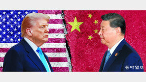 [책의 향기]법률사회 美 vs 공학국가 中… ‘시스템 충돌’