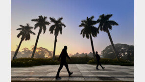 인도 100세 남성, 살인 사건 유죄 뒤집혔다…42년 만에 무죄