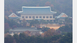 靑 “대북 인도 지원 일관되게 이뤄져야…北 화답하길 기대”