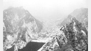 ‘42.2㎝’ 울릉도·독도 대설경보…8일 밤까지 폭설 내린다