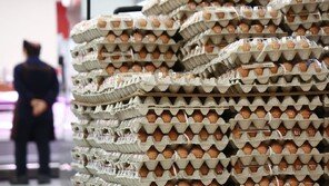 60년 ‘불투명한 계란값’ 손질…담합 고리 끊고 가격 잡을까