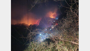 경주 문무대왕면 산불 ‘확산 대응 1단계’…헬기 34대 투입