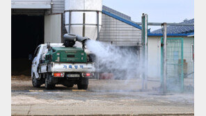 한우-달걀 등 가격 급등…설 앞두고 가축질병 3종 확산 영향