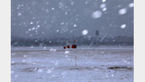 제주에 18cm 폭설로 1만여 명 발 묶여…빙판길로 사고도 잇달아