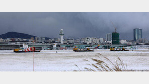 제주 18cm 폭설로 무더기 결항…1만명 넘는 승객 발 묶여