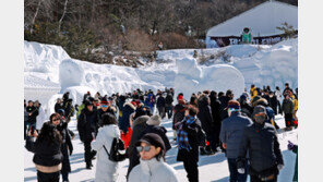 ‘스키도 타고 축제도 즐기고’…한파 속 강원 겨울 관광은 훈풍