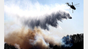 [속보] 경주 문무대왕면 산불, 20여시간만에 주불 진화