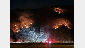경주 산불, 재발화 3시간 만에 다시 주불 진화
