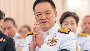 태국 총선, 진보-보수-親탁신 3파전… 연정 구성 힘겨루기 예고