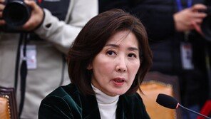 나경원 “쿠팡에 정치적 드잡이…정부, 미국 신뢰 잃어”