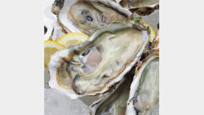 “한국산 굴 유통 금지”…노로바이러스 공포에 홍콩 ‘발칵’