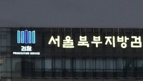 검찰, 가상자산 사기 사이트 개발자 구속기소…“보완수사로 공동정범 입증”