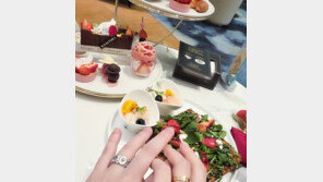 서유리, 연하 법조계 종사자 남친과 ‘럽스타그램’…럭셔리 생파