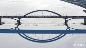 [포토에세이]겨울 강 위 두 개의 길