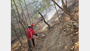 경주 문무대왕면 산불 43시간에 완진…산불전문예방대 뒷불 감시