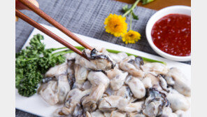 굴 먹고 ‘복통 신고’ 잇따라…“생식대신 가열해서 드세요”