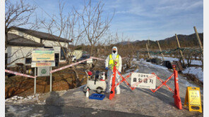 전남에서 두번째 아프리카돼지열병 확진…전남도 확산 차단 총력