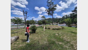 경찰, 영동군 ‘조경수 실종사건’ 무혐의 불송치…사안 종결