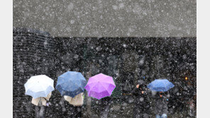 “우와 부산에도 눈 온다”…오전 한 때 눈발 날려