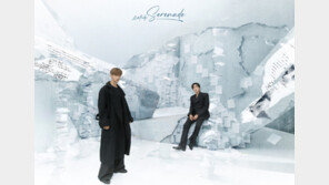 유닛도 강한 세븐틴…도겸X승관, 日 레코드협회 골드 디스크 인증