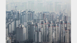 세입자 낀 다주택자 매물, 실거주 의무 최대 2년 유예